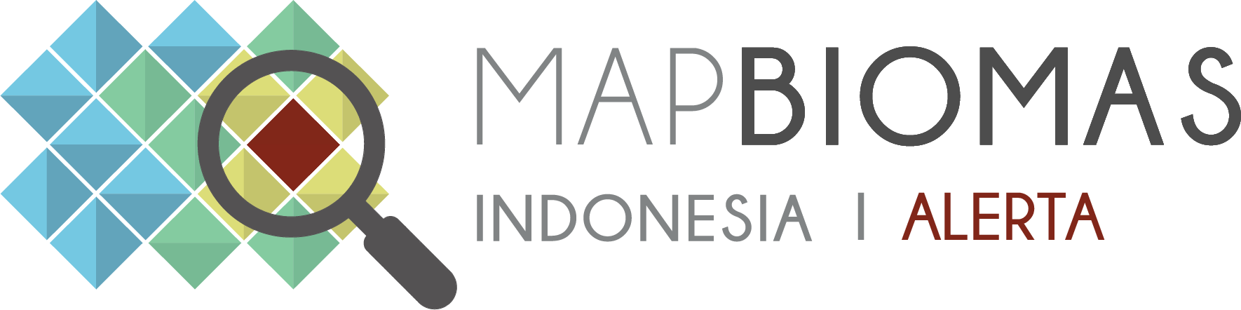 Mapbiomas Indonesia