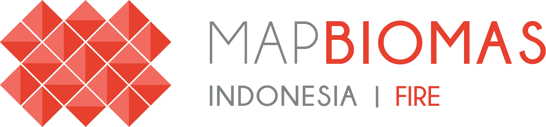 Mapbiomas Indonesia